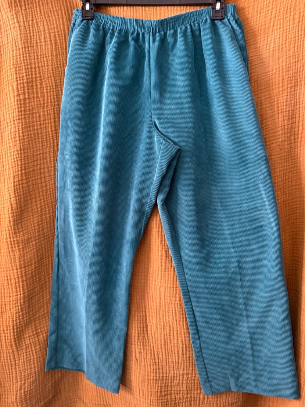 Alfred Dunner Teal Corduroy Elastic Waist Pants